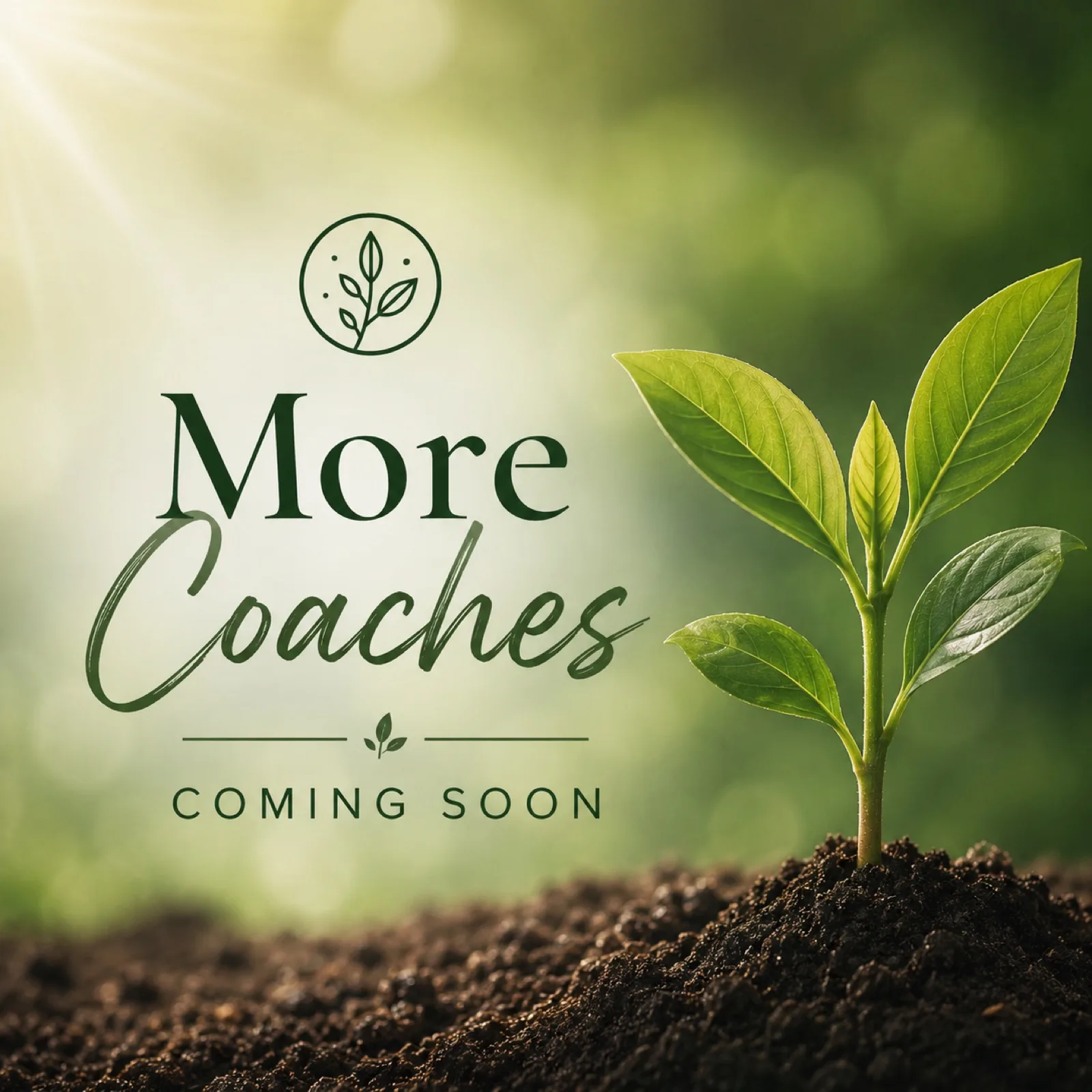 Portrait of More coaches coming soon